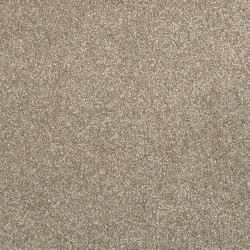 Iron Clad color swatch