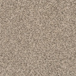 Silver Dollar color swatch