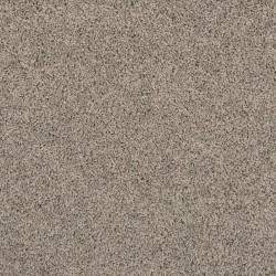 Winter Ash color swatch
