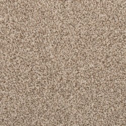 Elk Beige color swatch