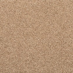 Toffee Cream color swatch