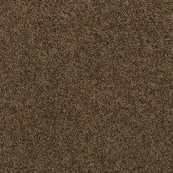 Husk color swatch