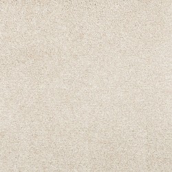 Sand Dollar color swatch
