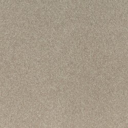 Michigan color swatch