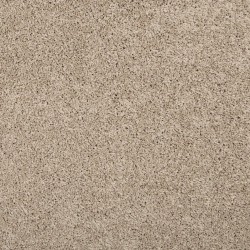 Birdbath color swatch