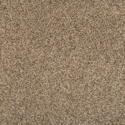Flax Seed color swatch