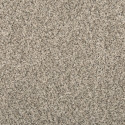 Silver Dollar color swatch