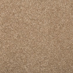 Toffee Cream color swatch