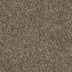 Shimmer Ash color swatch