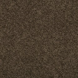 Husk color swatch