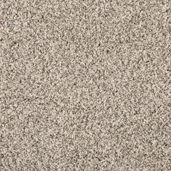 Silver Dollar color swatch