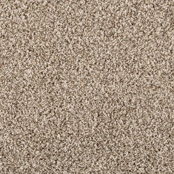 Elk Beige color swatch