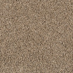 Flax Seed color swatch