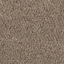 Renovate III - Shimmer Ash