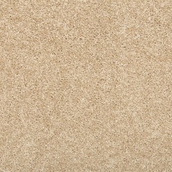 Bleached Almond color swatch
