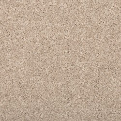 Stony Glade color swatch