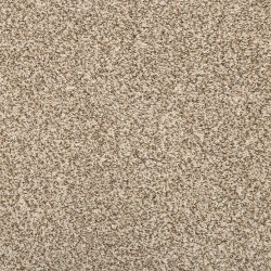 Elk Beige color swatch