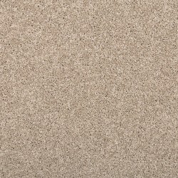 Stony Glade color swatch