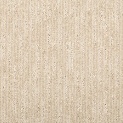 Portrait color swatch