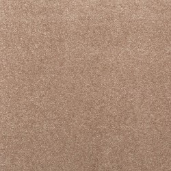 Desert Mud color swatch