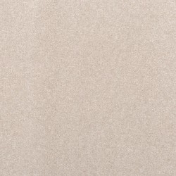 Dakota color swatch