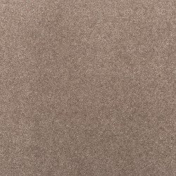 Classic Suede color swatch