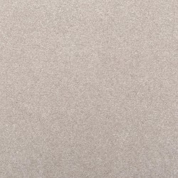 Polished Nickel color swatch