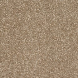 Pale Birch color swatch