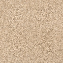 Pale Birch color swatch