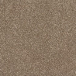 Camel Stone color swatch
