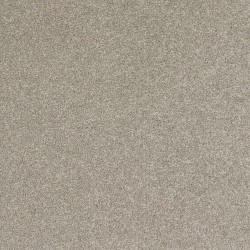 Gentle Fog color swatch