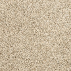 Coconut color swatch