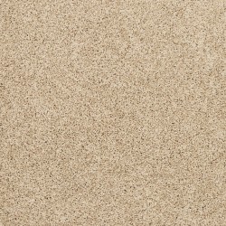 Sandy Beach color swatch