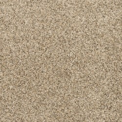 Bisque color swatch