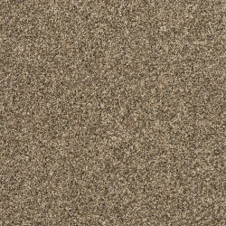 Cracked Wheat color swatch