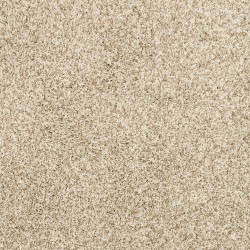 Coconut color swatch