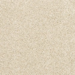 Canvas Cloth color swatch