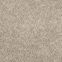 Oyster color swatch