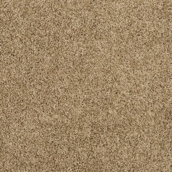 Parchment color swatch