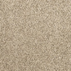 Hazelnut color swatch