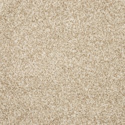 Coconut color swatch