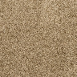 Parchment color swatch