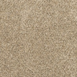 Bisque color swatch