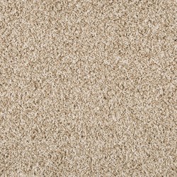 Coconut color swatch