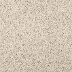 Canvas Cloth color swatch