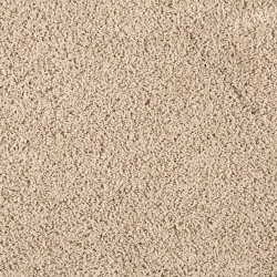 Sandy Beach color swatch