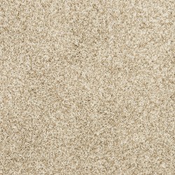 Coconut color swatch