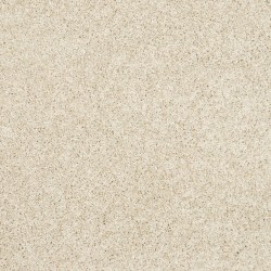 Canvas Cloth color swatch