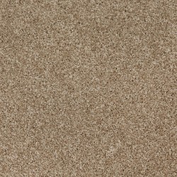 Sandy Cove color swatch