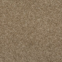 Safari Tan color swatch